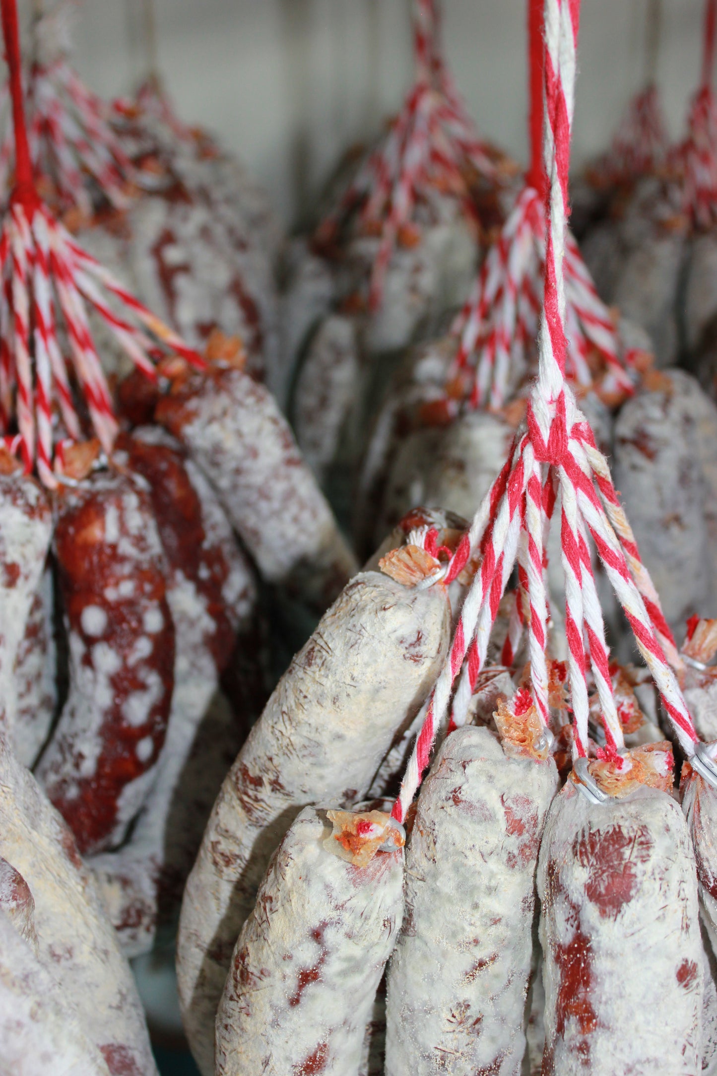 Longaniza de Chorizo Dulce Ibérica