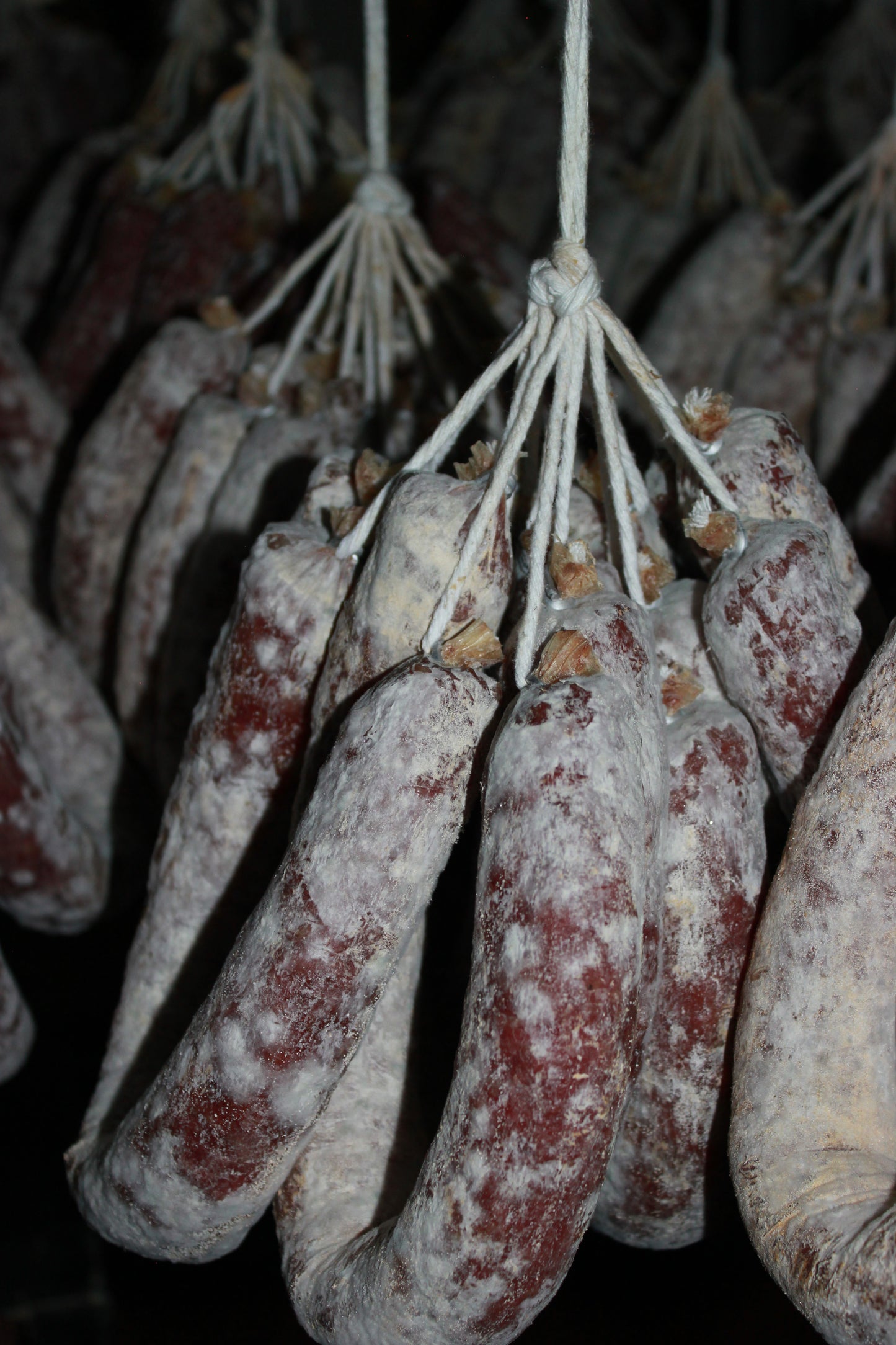 Longaniza de Salchichón Ibérica